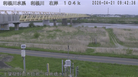 tonme2026042110_image