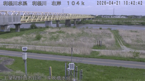 tonme2026042111_image