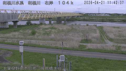 tonme2026042112_image