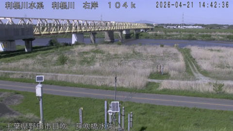 tonme2026042115_image