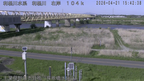 tonme2026042116_image