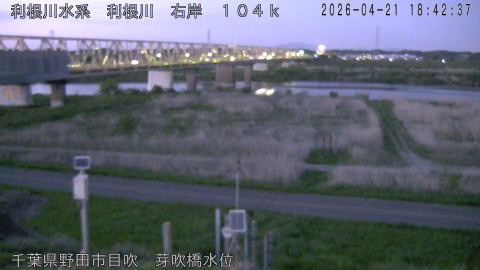 tonme2026042119_image