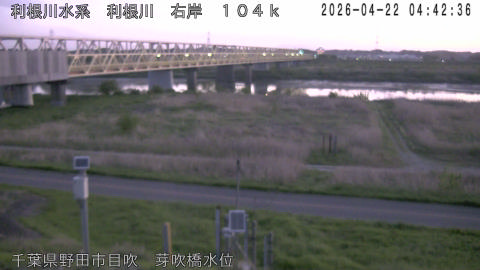 tonme2026042205_image