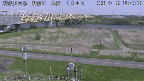 tonme2026042211_image