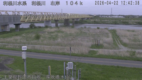 tonme2026042213_image