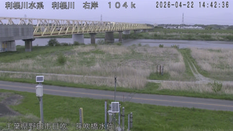 tonme2026042215_image