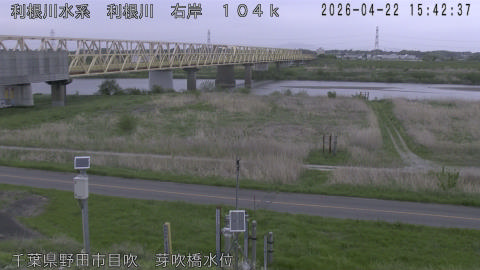 tonme2026042216_image