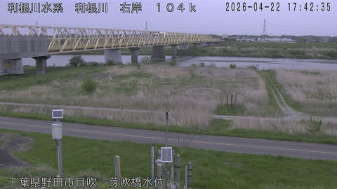 tonme2026042218_image