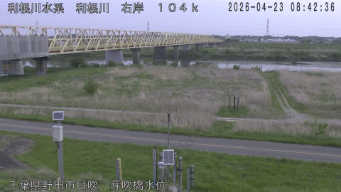 tonme2026042309_image