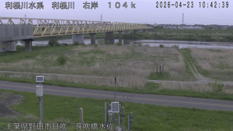 tonme2026042311_image