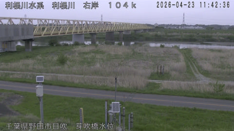 tonme2026042312_image