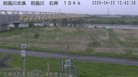 tonme2026042313_image