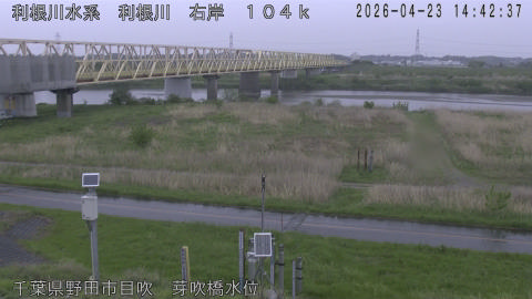 tonme2026042315_image