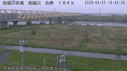 tonme2026042317_image