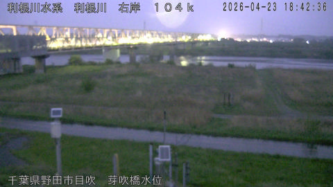 tonme2026042319_image