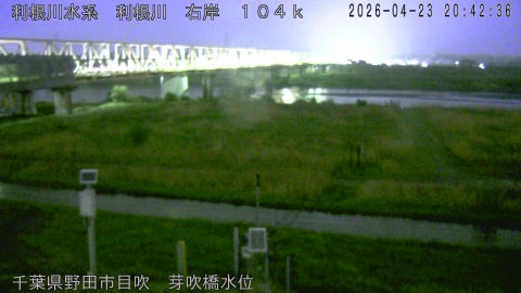 tonme2026042321_image