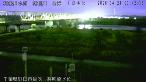 tonme2026042404_image