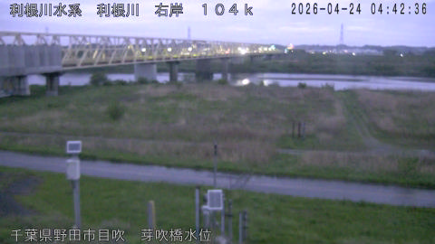 tonme2026042405_image