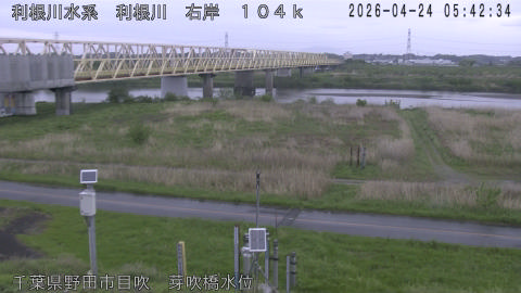 tonme2026042406_image