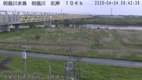 tonme2026042407_image