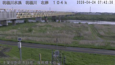 tonme2026042408_image