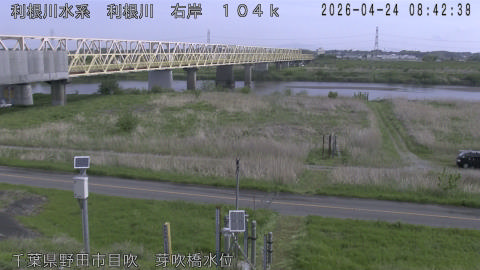 tonme2026042409_image