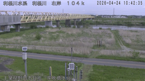 tonme2026042411_image