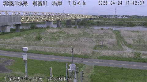 tonme2026042412_image