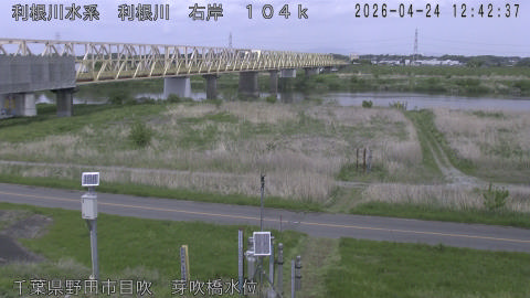 tonme2026042413_image