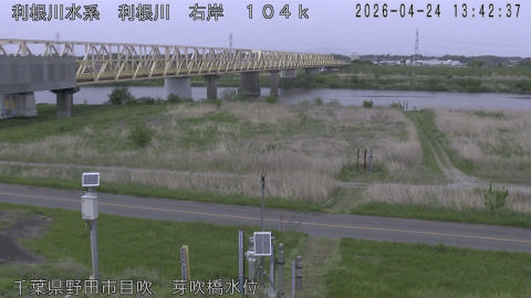 tonme2026042414_image