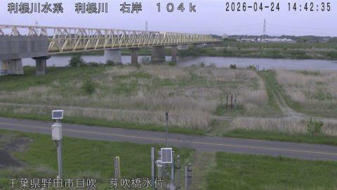 tonme2026042415_image