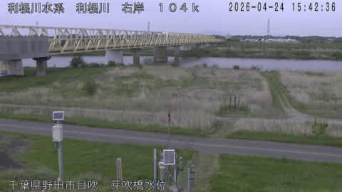 tonme2026042416_image