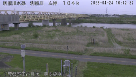 tonme2026042417_image