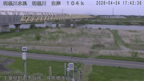 tonme2026042418_image