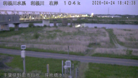 tonme2026042419_image