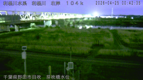 tonme2026042501_image