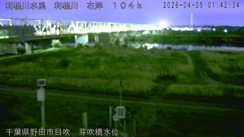 tonme2026042502_image