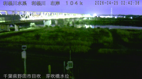 tonme2026042503_image