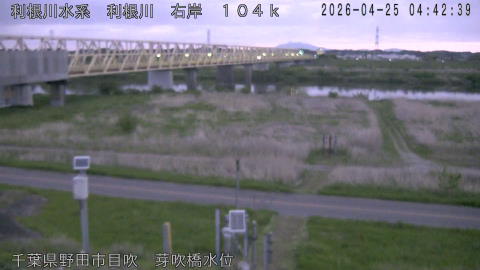 tonme2026042505_image