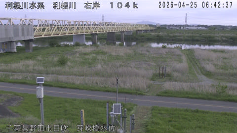 tonme2026042507_image