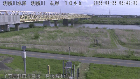 tonme2026042509_image