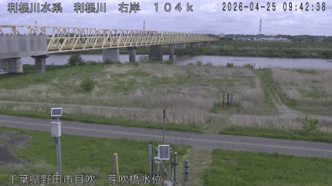 tonme2026042510_image