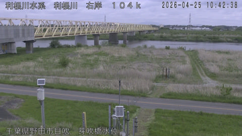 tonme2026042511_image