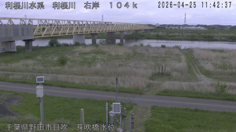 tonme2026042512_image