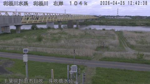 tonme2026042513_image