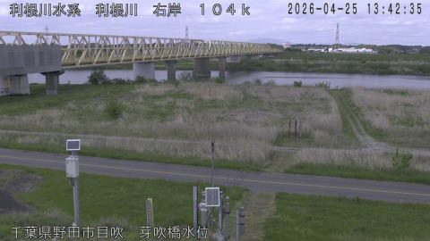 tonme2026042514_image