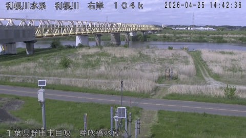 tonme2026042515_image