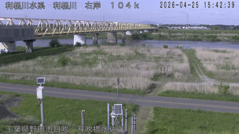 tonme2026042516_image