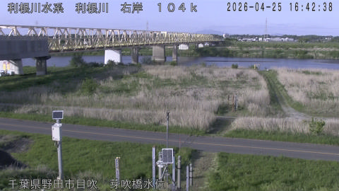 tonme2026042517_image