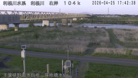 tonme2026042518_image